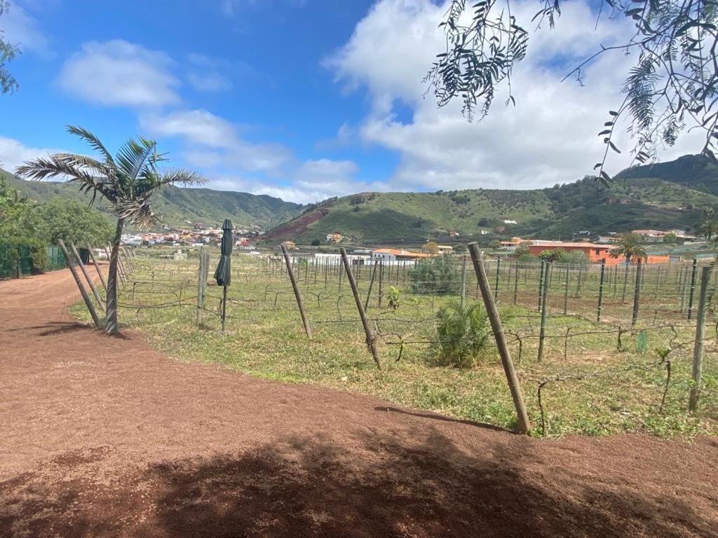 Casita Entre Vinedos, Experiencia Rural, Ideal Ninos. Тегесте Экстерьер фото